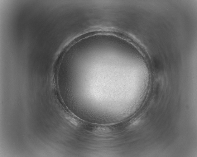 X0000076071215200609221148