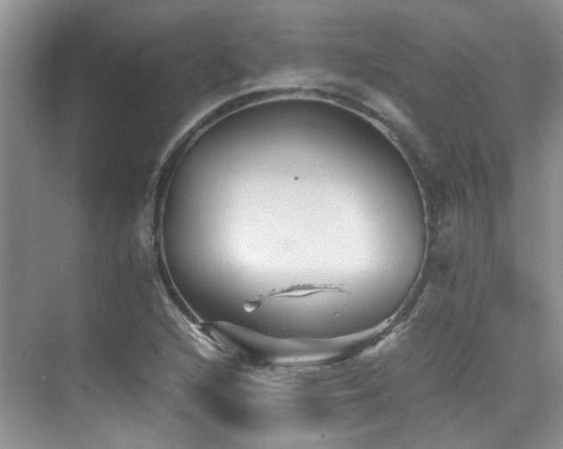 X0000076071216200609221148