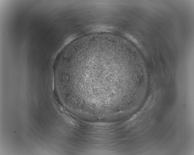 X0000076071219200609221148