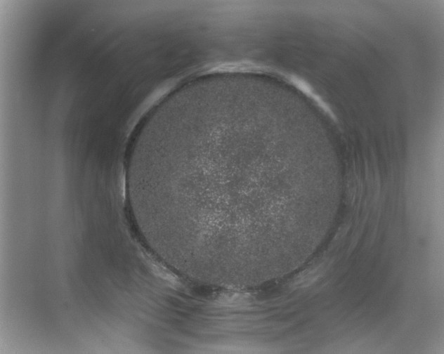 X0000076071221200609221148