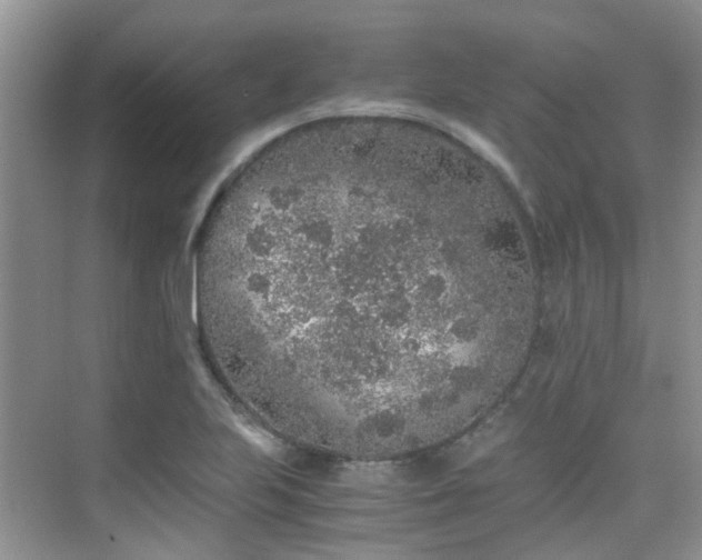 X0000076071223200609221148