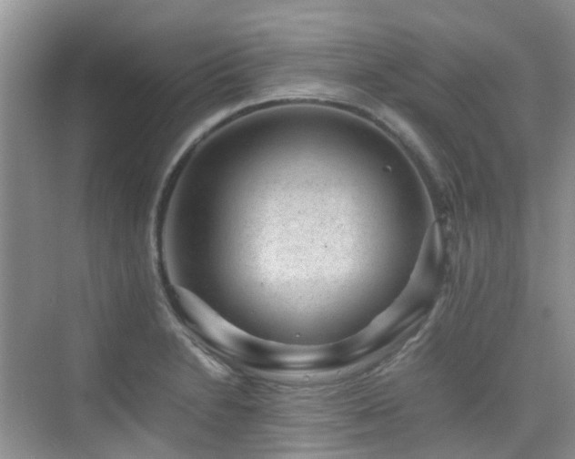 X0000076071230200609221148