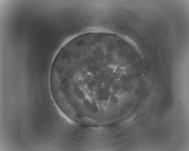 X0000076071231200609221148