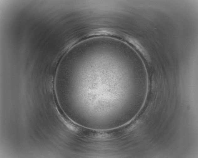 X0000076071233200609221148