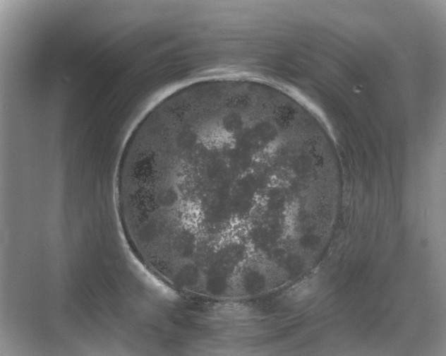 X0000076071239200609221148