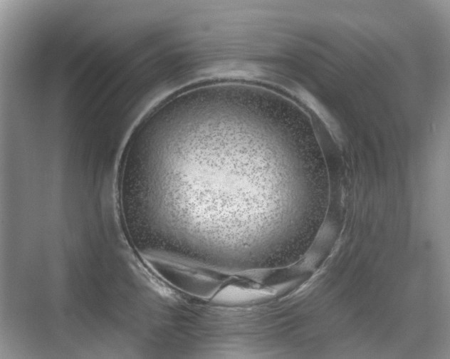 X0000076071240200609221148