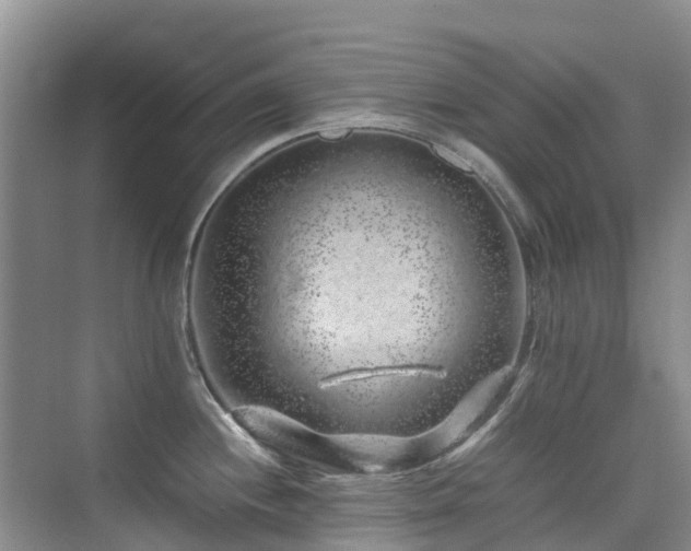 X0000076071244200609221148