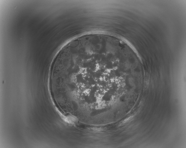 X0000076071245200609221148