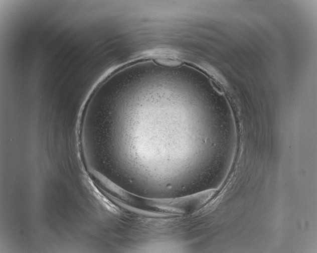 X0000076071248200609221148