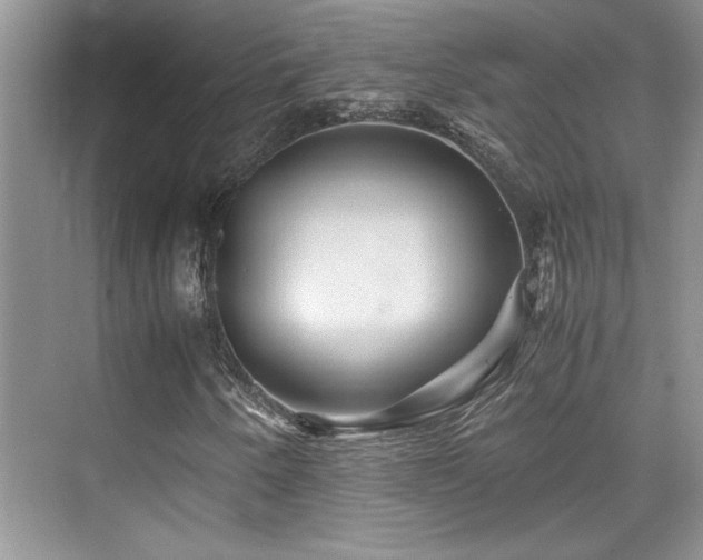 X0000076071250200609221147