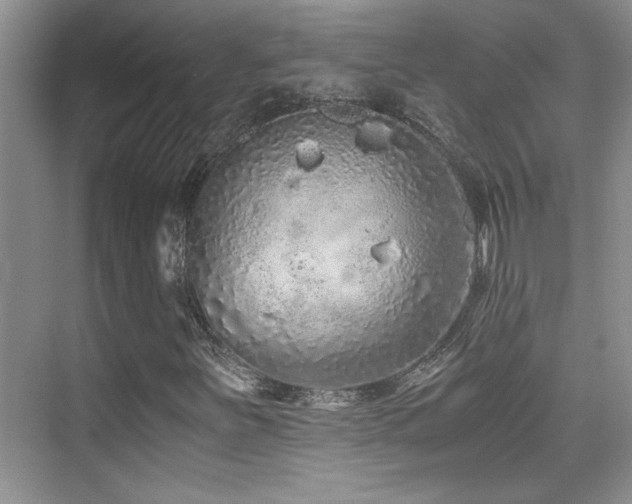 X0000076071251200609221147