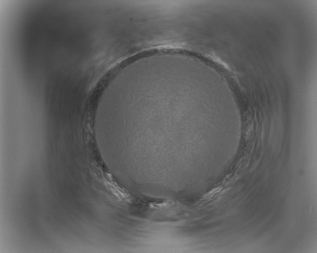 X0000076071255200609221147