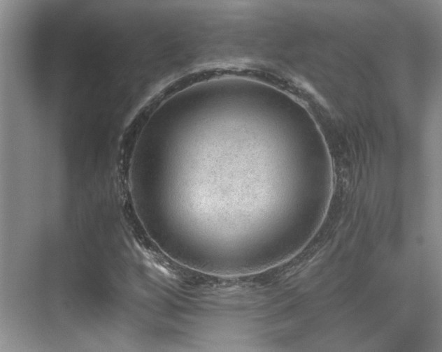 X0000076071256200609221147