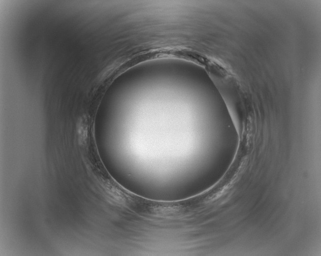 X0000076071257200609221147