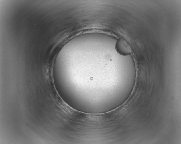 X0000076071258200609221147