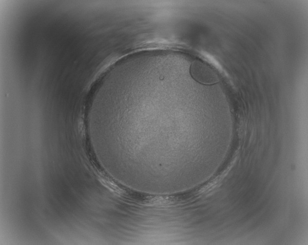 X0000076071259200609221147