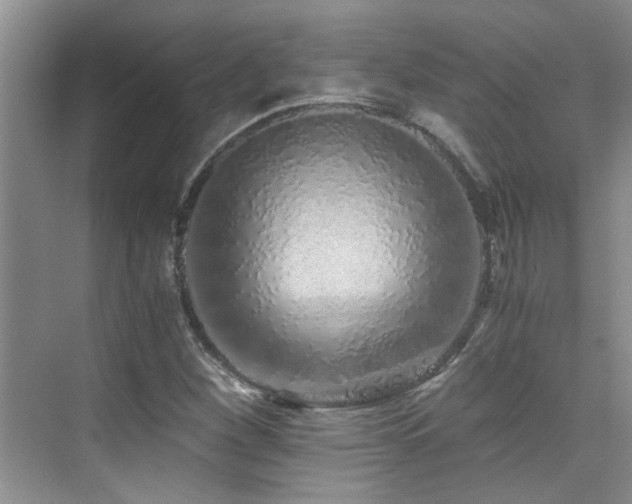 X0000076071260200609221147