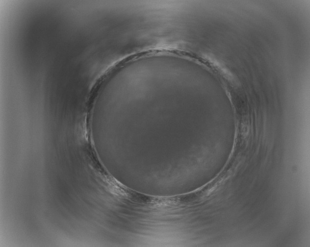 X0000076071262200609221147