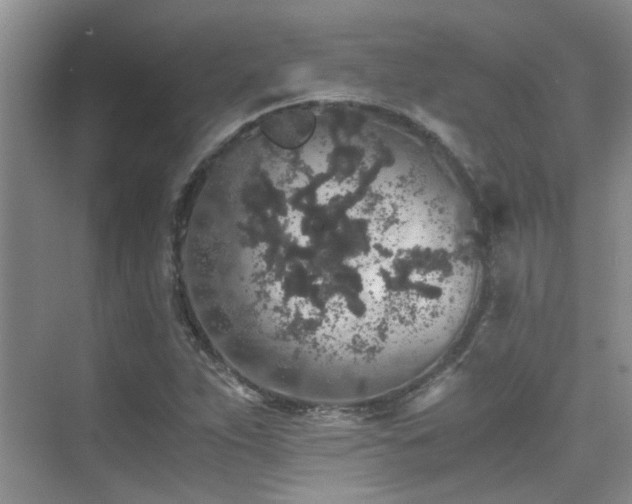 X0000076071263200609221147