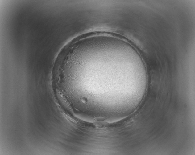 X0000076071264200609221147