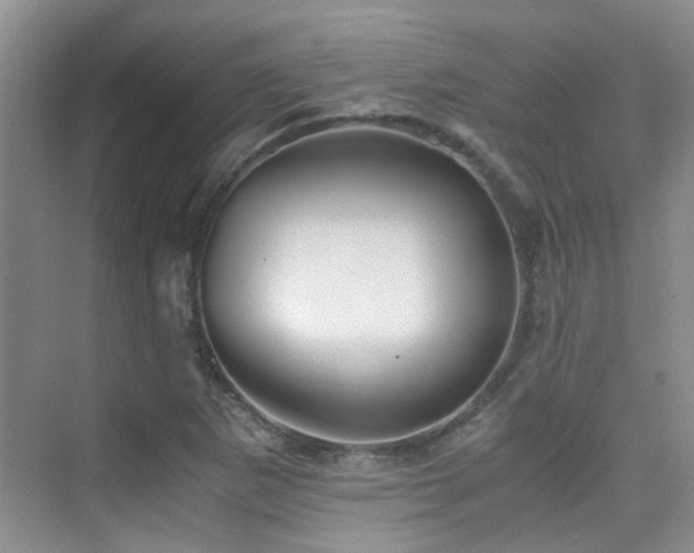 X0000076071265200609221147