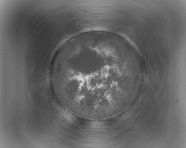 X0000076071266200609221147