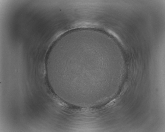 X0000076071267200609221147