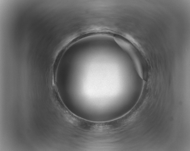 X0000076071269200609221147