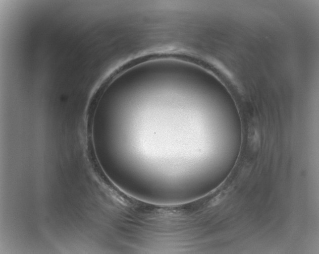 X0000076071270200609221147