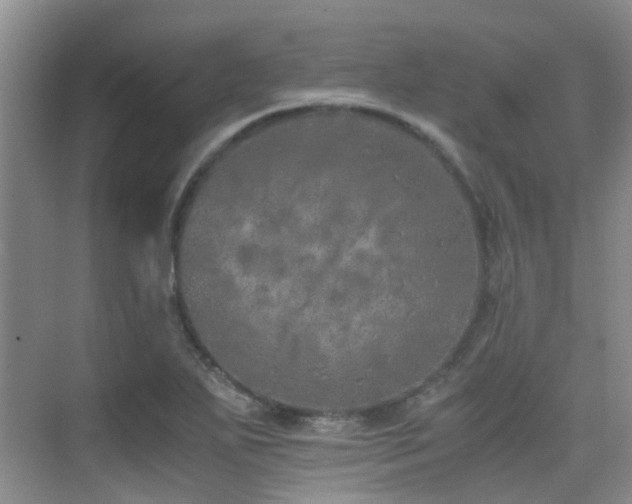 X0000076071271200609221147