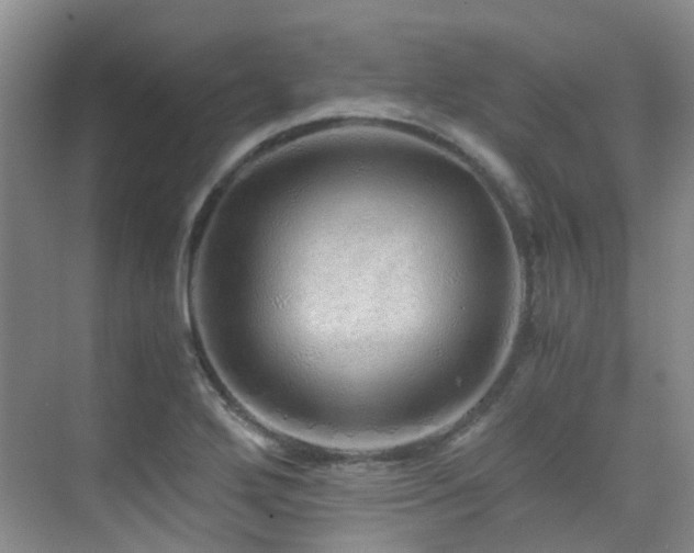 X0000076071272200609221147