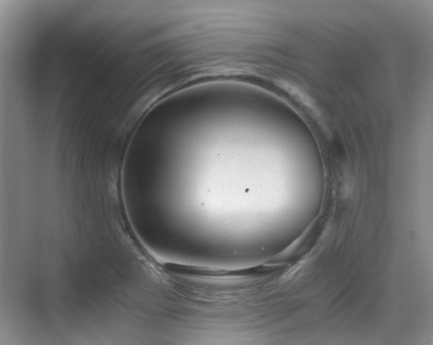 X0000076071273200609221147