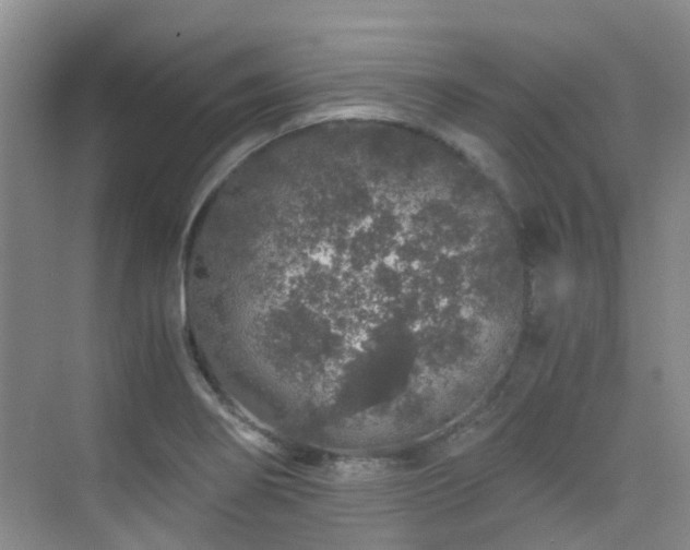 X0000076071274200609221147