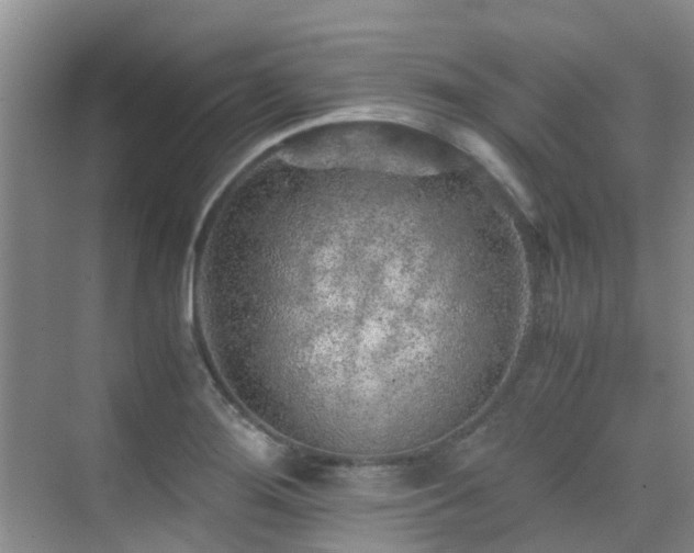 X0000076071276200609221147