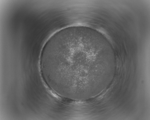 X0000076071278200609221147