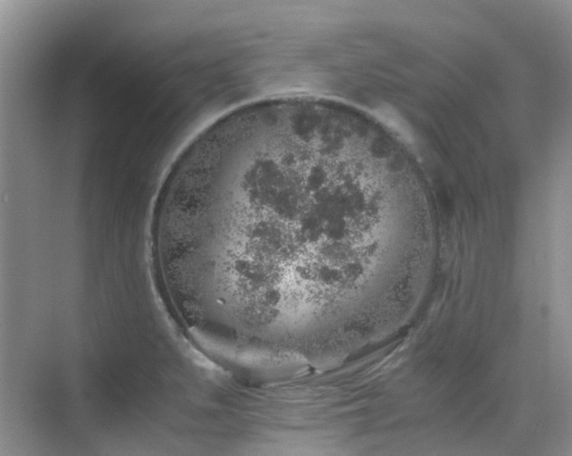 X0000076071279200609221147