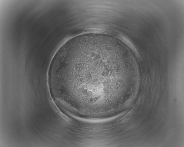 X0000076071283200609221147