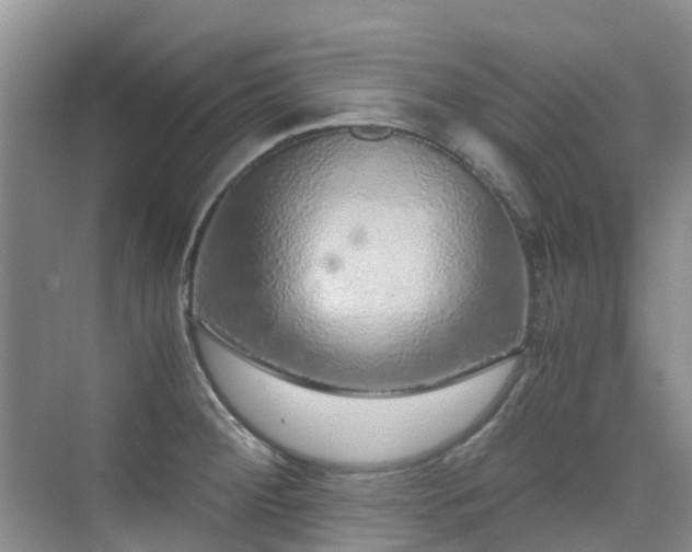 X0000076071284200609221147