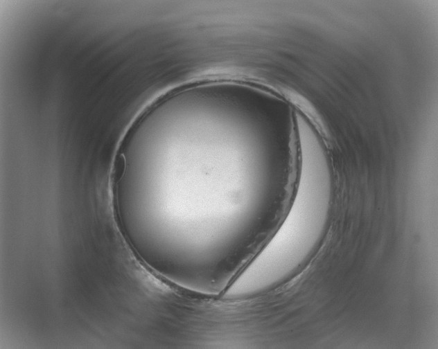 X0000076071288200609221147