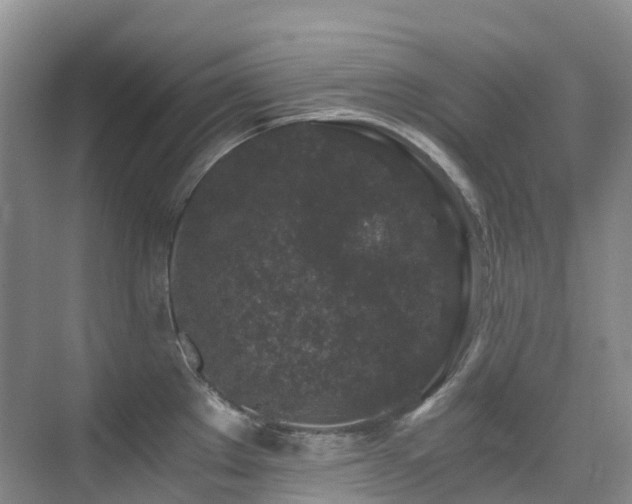 X0000076071289200609221147