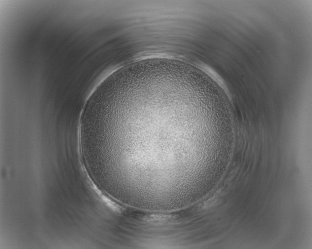 X0000076071290200609221147