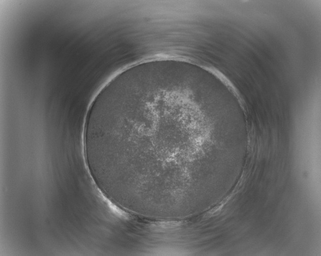 X0000076071294200609221147