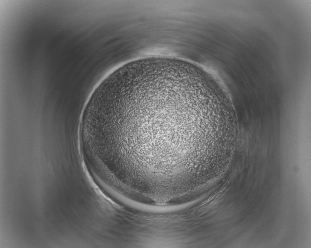 X0000076071295200609221147