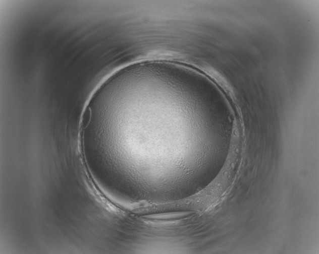 X0000076071296200609221146