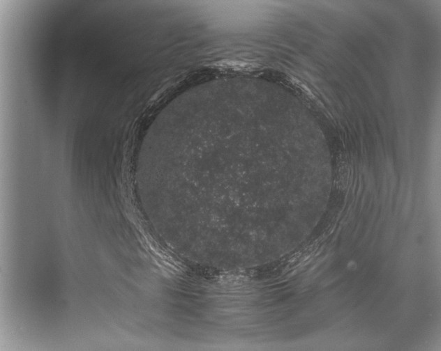 X0000076071297200609221146