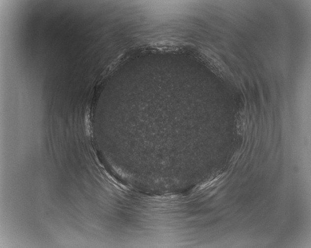 X0000076071298200609221146