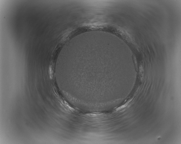 X0000076071300200609221146