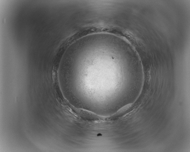 X0000076071302200609221146