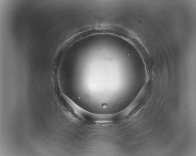 X0000076071304200609221146