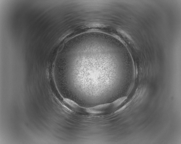 X0000076071305200609221146